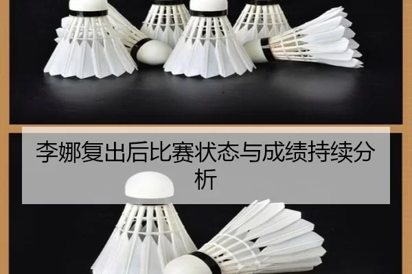 李娜复出后比赛状态与成绩持续分析