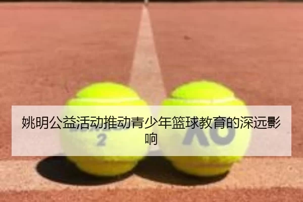 姚明公益活动推动青少年篮球教育的深远影响
