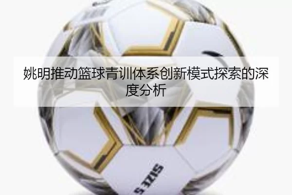 姚明推动篮球青训体系创新模式探索的深度分析