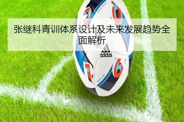 张继科青训体系设计及未来发展趋势全面解析